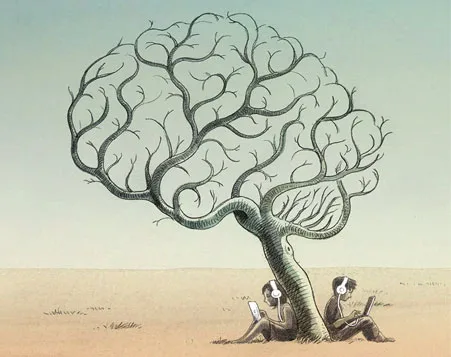 旨在提供一流的外观 - mk体育